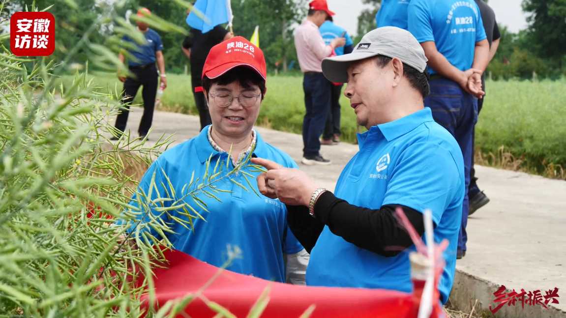 Compress_寿县茶庵镇油菜长势现场观摩，送技术下乡，[00_00_21][20240510-004918].jpg