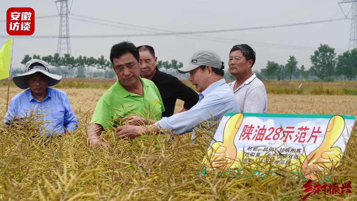 Compress_陕油28油菜观摩会在安庆市望江县漳湖镇成[00_00_17][20240511-211106].jpg