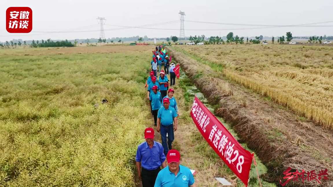 Compress_陕油28油菜观摩会在安庆市望江县漳湖镇成[00_00_06][20240511-211050].jpg