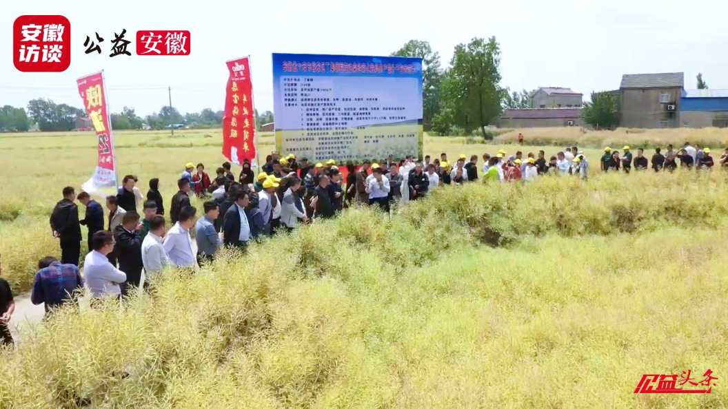 Compress_稻茬油菜大面积单产提升示范观摩暨土地单季[00_00_52][20250512-121358].jpg