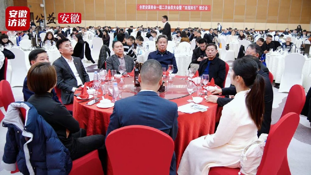 Compress_凝聚乡情促发展 携手共赢谱新篇——合肥安[00_00_34][20251201-174700].jpg