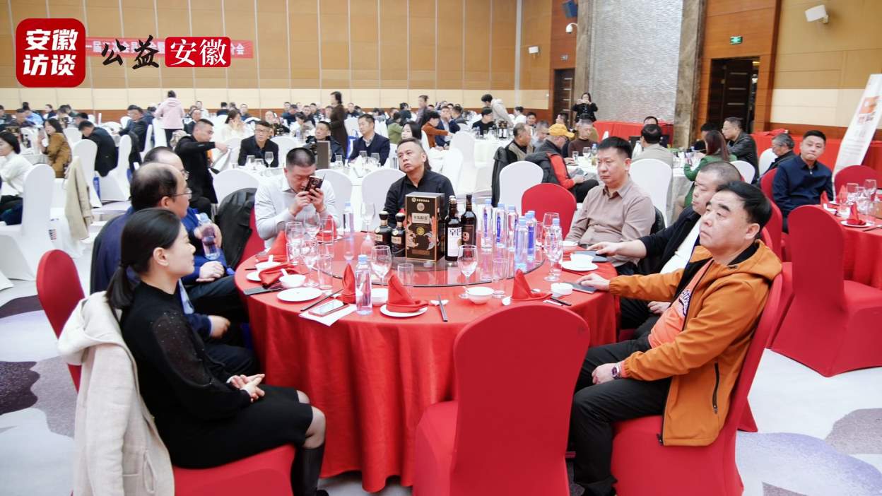 Compress_凝聚乡情促发展 携手共赢谱新篇——合肥安[00_00_46][20251201-174709].jpg