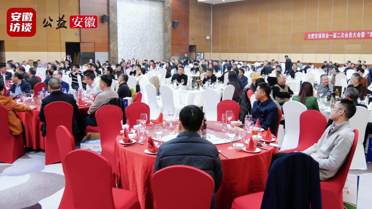 Compress_凝聚乡情促发展 携手共赢谱新篇——合肥安[00_00_52][20251201-174721].jpg