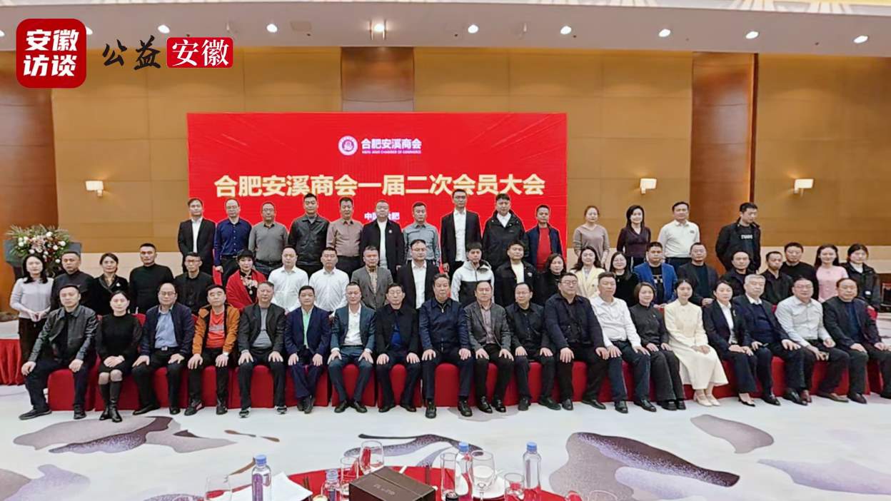 Compress_凝聚乡情促发展 携手共赢谱新篇——合肥安[00_02_49][20251201-174930].jpg