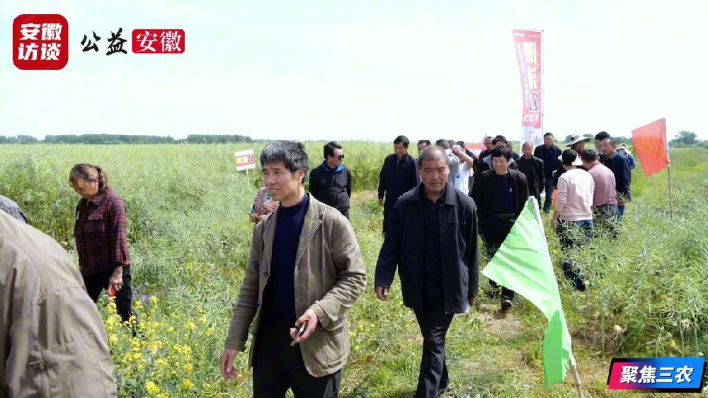 Compress_“陕油22”单产提升技术培训暨现场观摩会[00_00_24][20260508-230545].jpg