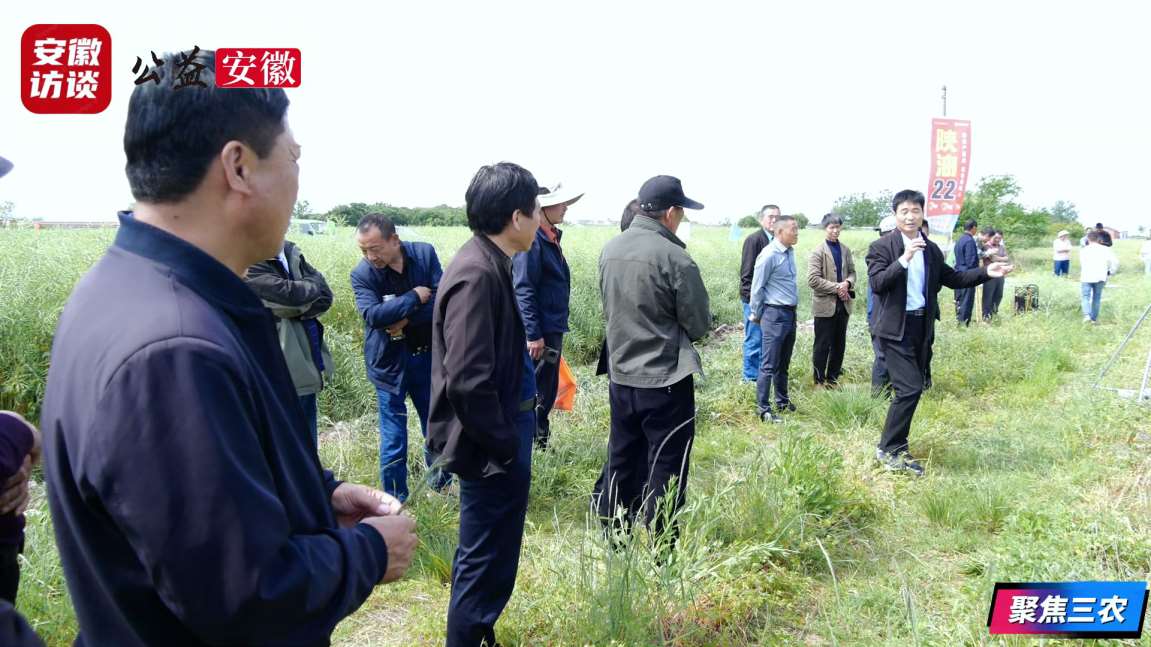 Compress_“陕油22”单产提升技术培训暨现场观摩会[00_00_27][20260508-231510].jpg